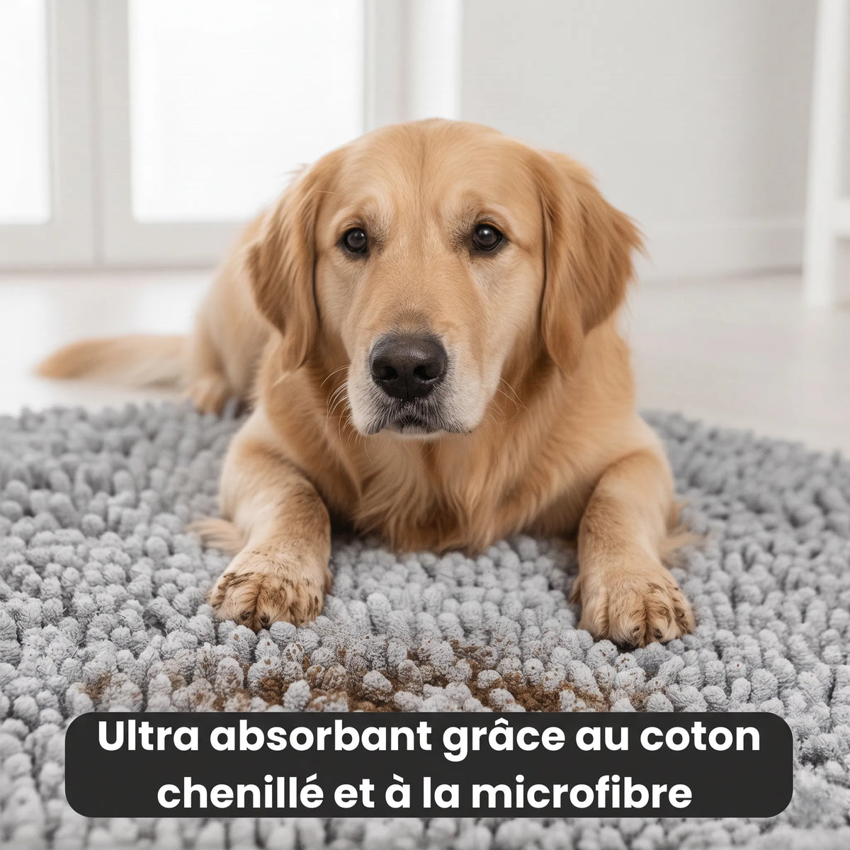 Tapis Patte'Clean