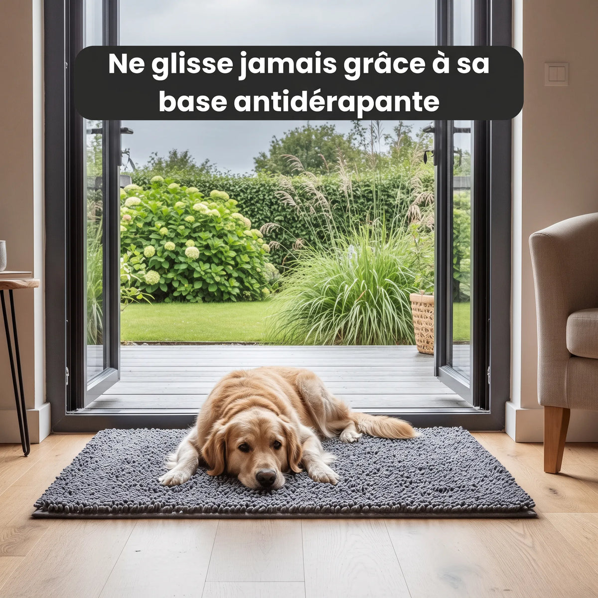 Tapis Patte'Clean