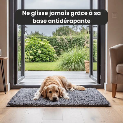 Tapis Patte'Clean